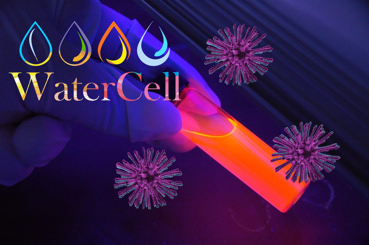 Sterylizatory UV lampy UV promieniowanie ultrafioletowe a wirusy bakterie
